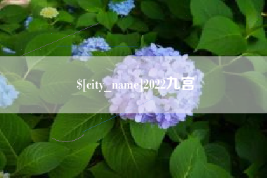 沅江2022九宫