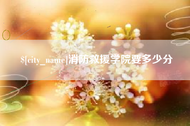 沅江消防救援学院要多少分