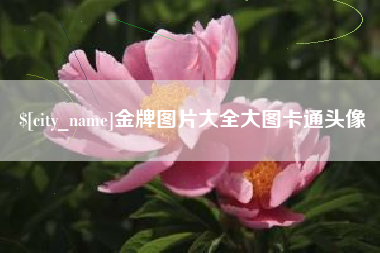 沅江金牌图片大全大图卡通头像