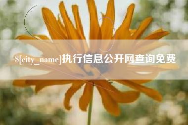 沅江执行信息公开网查询免费