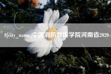 沅江中国消防救援学院河南省2020